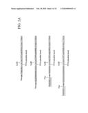 Compositons, methods and kits for real-time nucleic acid analysis in live cells diagram and image