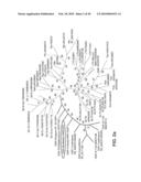 SITE SPECIFIC SYSTEM FOR GENERATING DIVERSITY PROTEIN SEQUENCES diagram and image