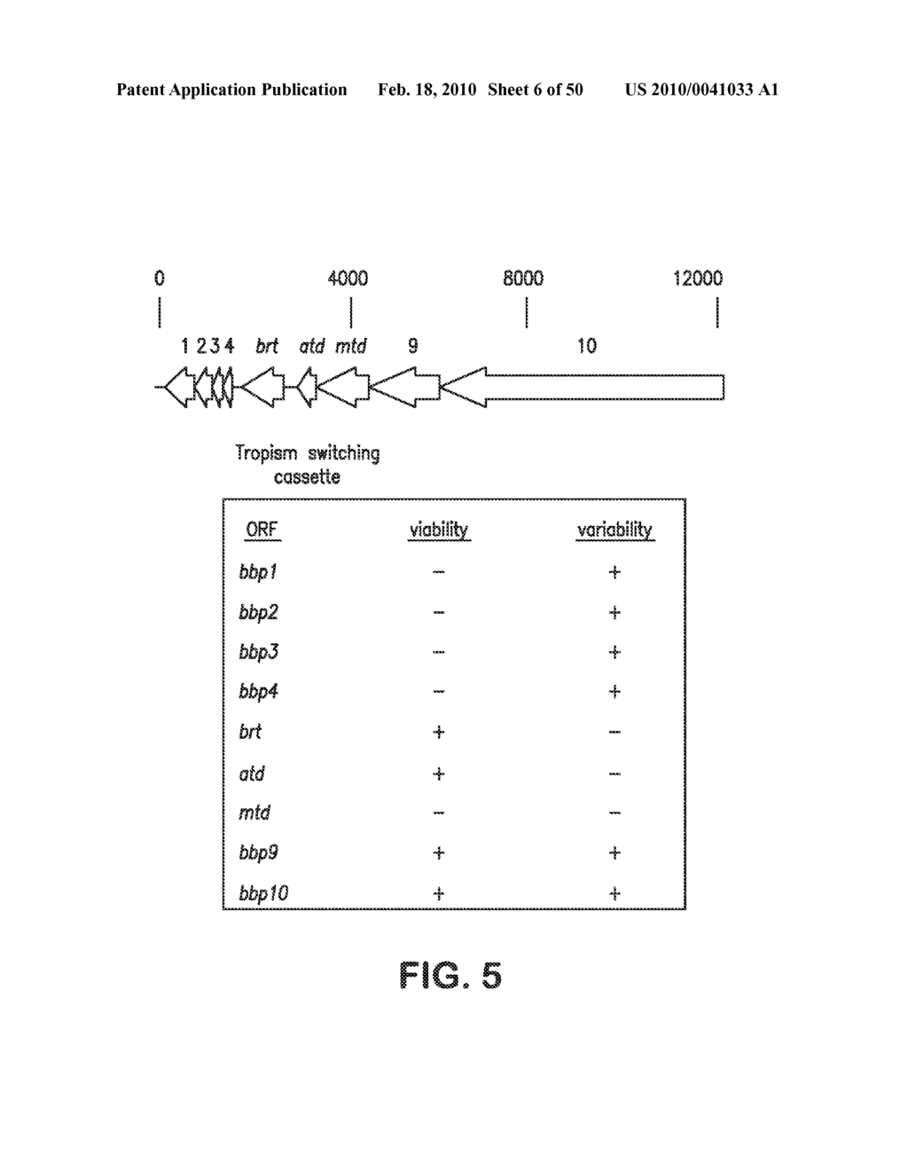 SITE SPECIFIC SYSTEM FOR GENERATING DIVERSITY PROTEIN SEQUENCES - diagram, schematic, and image 07