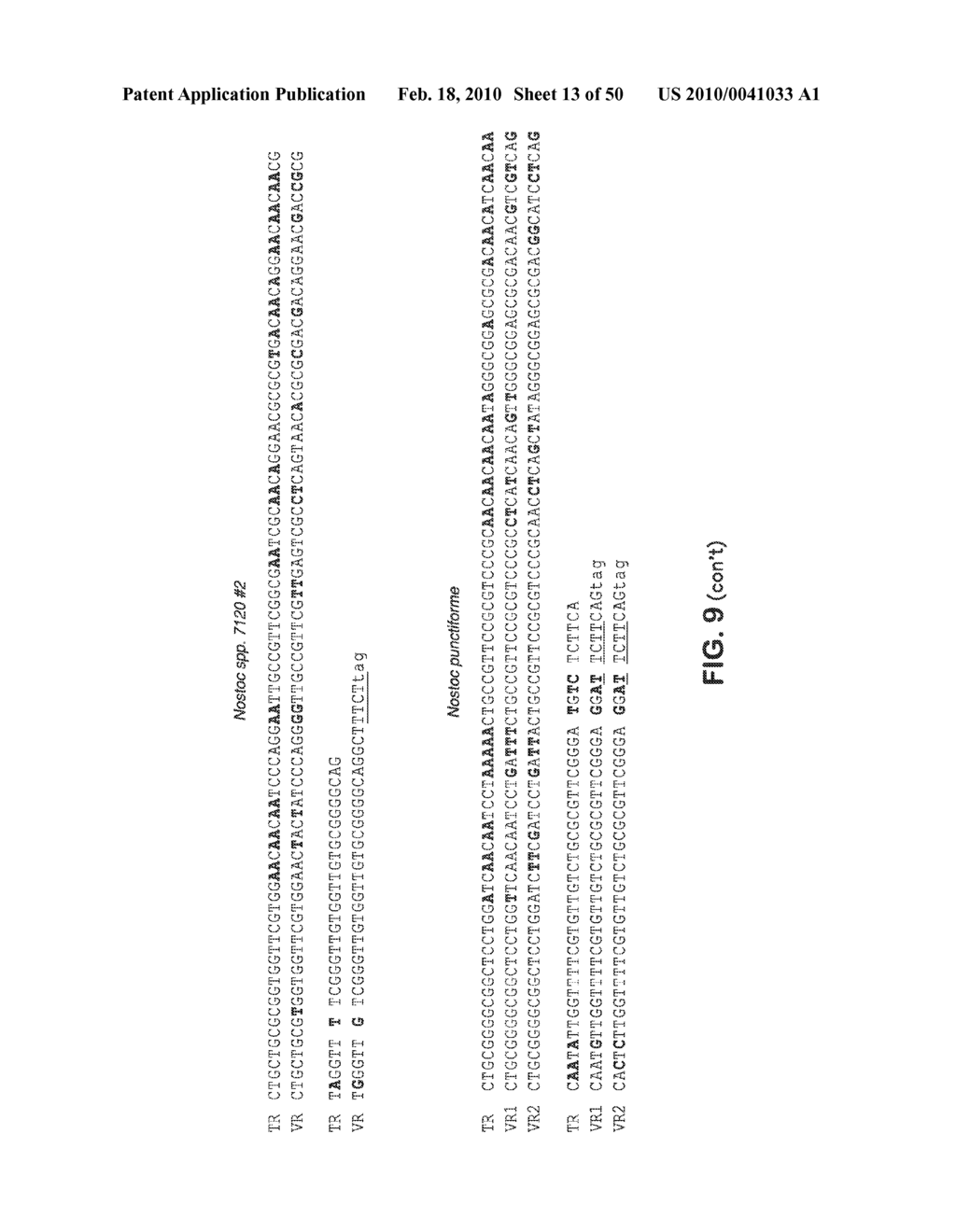 SITE SPECIFIC SYSTEM FOR GENERATING DIVERSITY PROTEIN SEQUENCES - diagram, schematic, and image 14