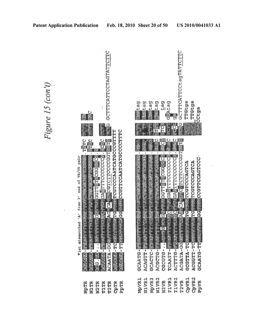 SITE SPECIFIC SYSTEM FOR GENERATING DIVERSITY PROTEIN SEQUENCES - diagram, schematic, and image 21