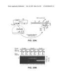 SITE SPECIFIC SYSTEM FOR GENERATING DIVERSITY PROTEIN SEQUENCES diagram and image