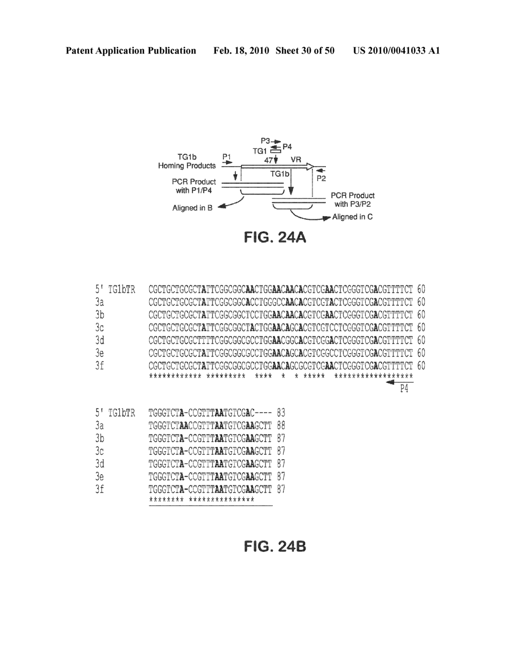 SITE SPECIFIC SYSTEM FOR GENERATING DIVERSITY PROTEIN SEQUENCES - diagram, schematic, and image 31