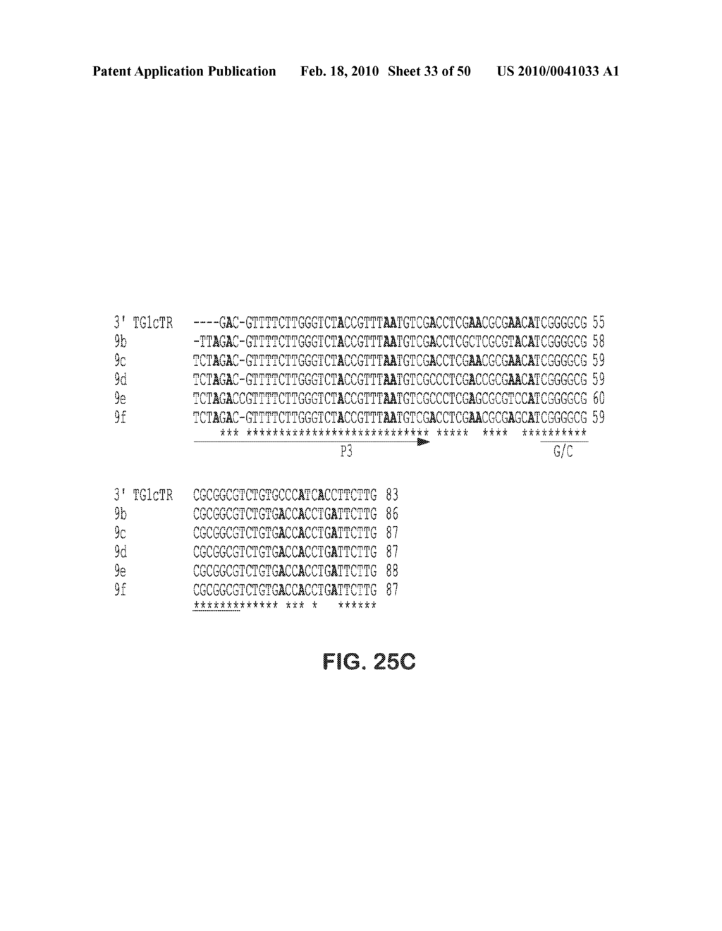 SITE SPECIFIC SYSTEM FOR GENERATING DIVERSITY PROTEIN SEQUENCES - diagram, schematic, and image 34