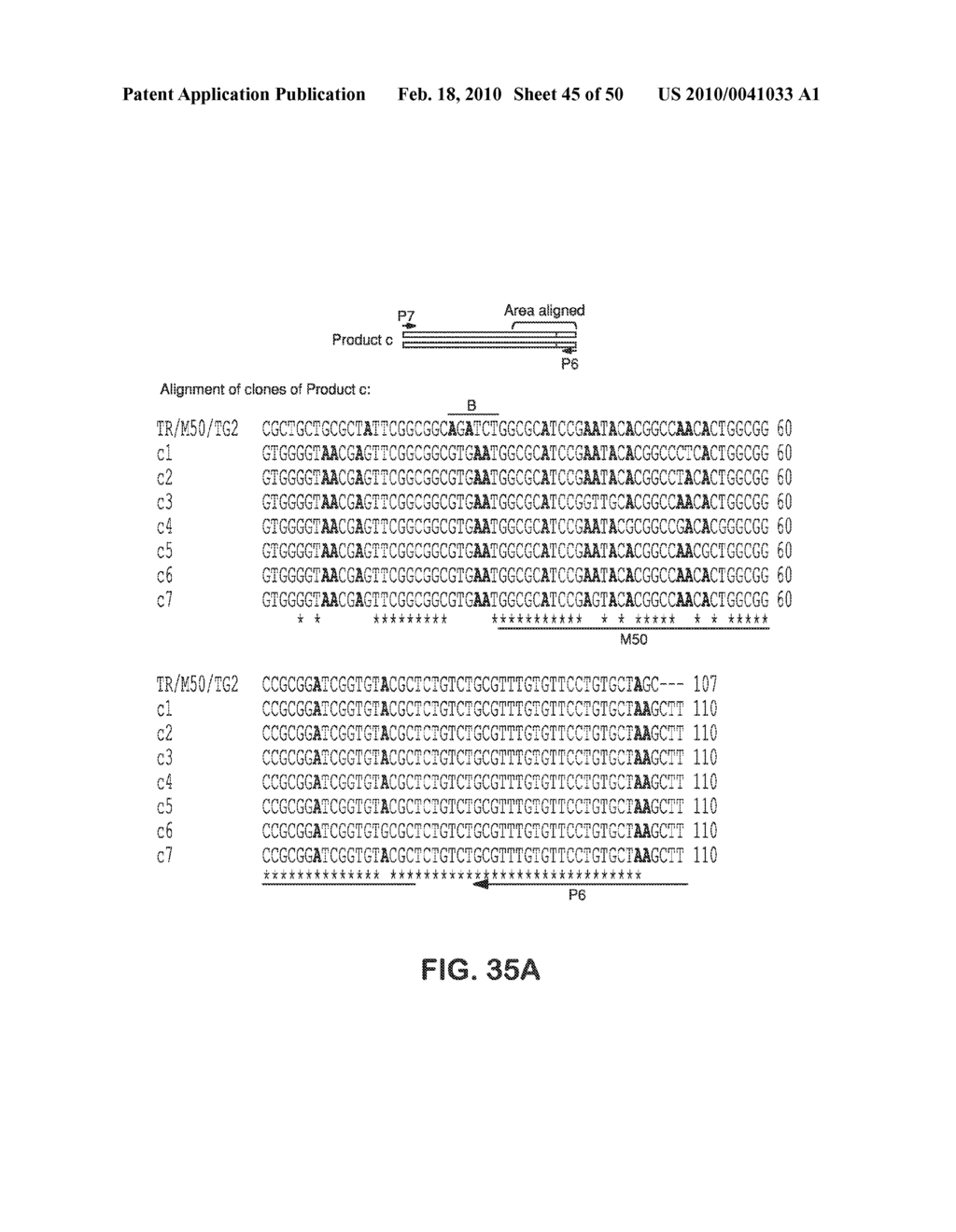 SITE SPECIFIC SYSTEM FOR GENERATING DIVERSITY PROTEIN SEQUENCES - diagram, schematic, and image 46