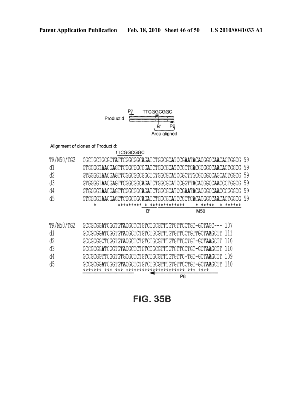 SITE SPECIFIC SYSTEM FOR GENERATING DIVERSITY PROTEIN SEQUENCES - diagram, schematic, and image 47