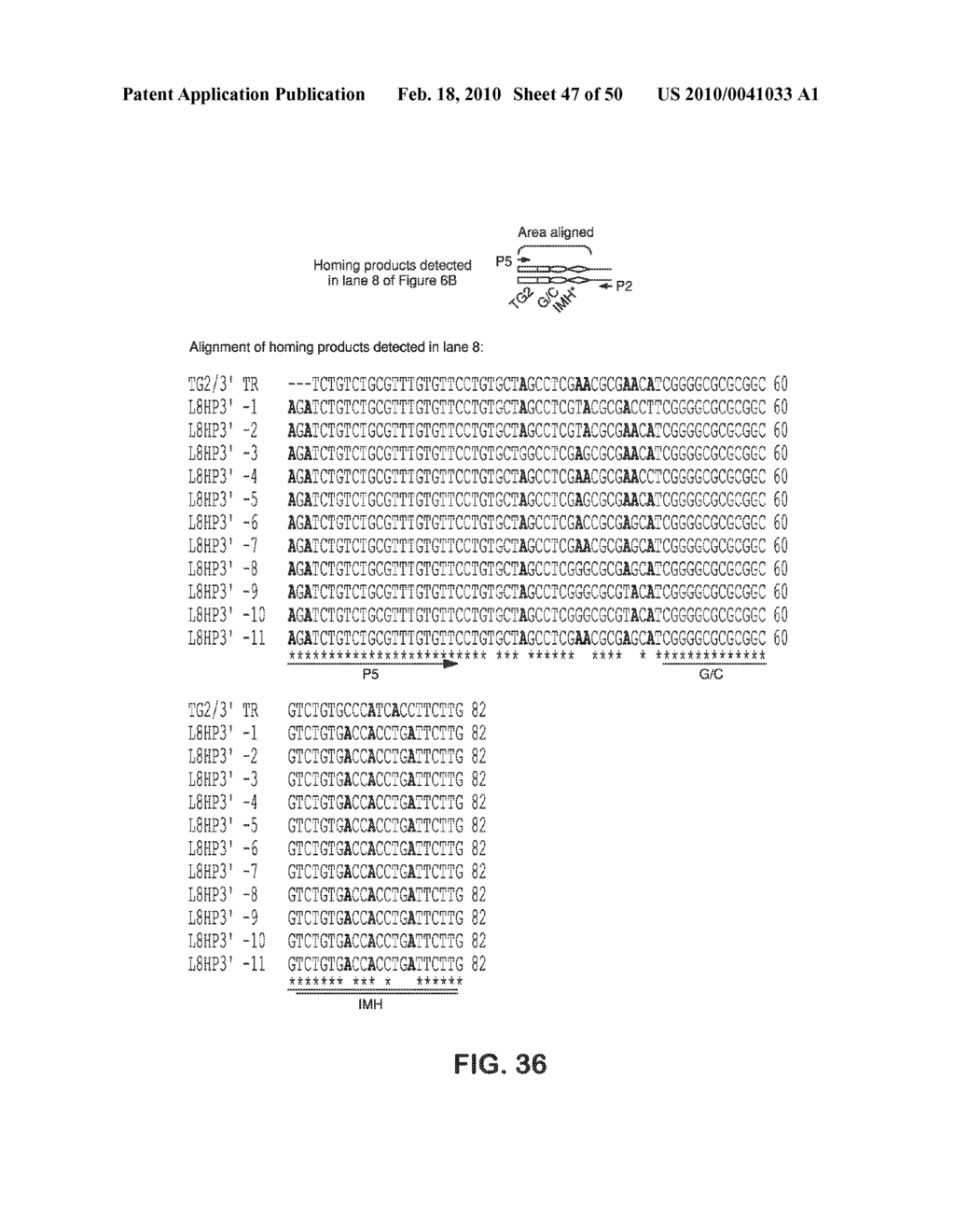 SITE SPECIFIC SYSTEM FOR GENERATING DIVERSITY PROTEIN SEQUENCES - diagram, schematic, and image 48