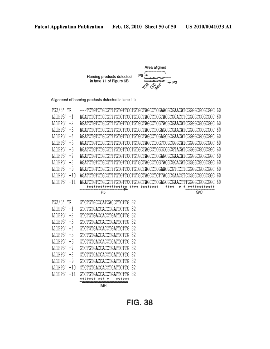 SITE SPECIFIC SYSTEM FOR GENERATING DIVERSITY PROTEIN SEQUENCES - diagram, schematic, and image 51