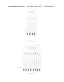 Immunoassay and method of use diagram and image