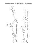 ANTIBODY-BASED GAMMA-HYDROXYBUTYRATE (GHB) DETECTION METHOD AND DEVICE diagram and image