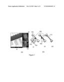 MICROFLUIDIC EMBEDDED POLYMER NEMS FORCE SENSORS diagram and image