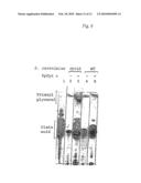 CELLS EXPRESSING PICHIA CYTOCHROME C diagram and image