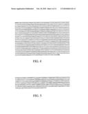 Botryoccocus braunii Triterpene Synthase Proteins and Nucleic Acid Molecules, and Methods for Their Use diagram and image