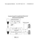 Botryoccocus braunii Triterpene Synthase Proteins and Nucleic Acid Molecules, and Methods for Their Use diagram and image