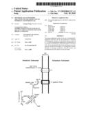 METABOLICALLY ENGINEERED ORGANISMS FOR THE PRODUCTION OF HYDROGEN AND HYDROGENASE diagram and image