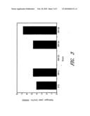 METABOLICALLY ENGINEERED ORGANISMS FOR THE PRODUCTION OF HYDROGEN AND HYDROGENASE diagram and image