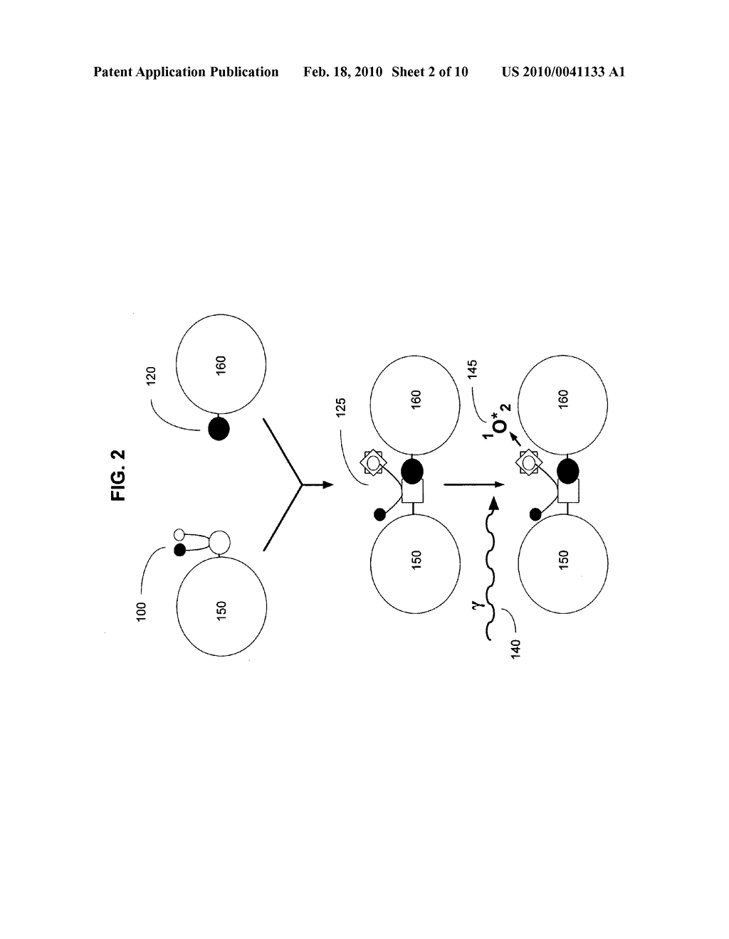 Biological targeting compositions and methods of using the same - diagram, schematic, and image 03