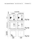 CULTURE MEDIUM CONTAINING KINASE INHIBITORS, AND USES THEREOF diagram and image