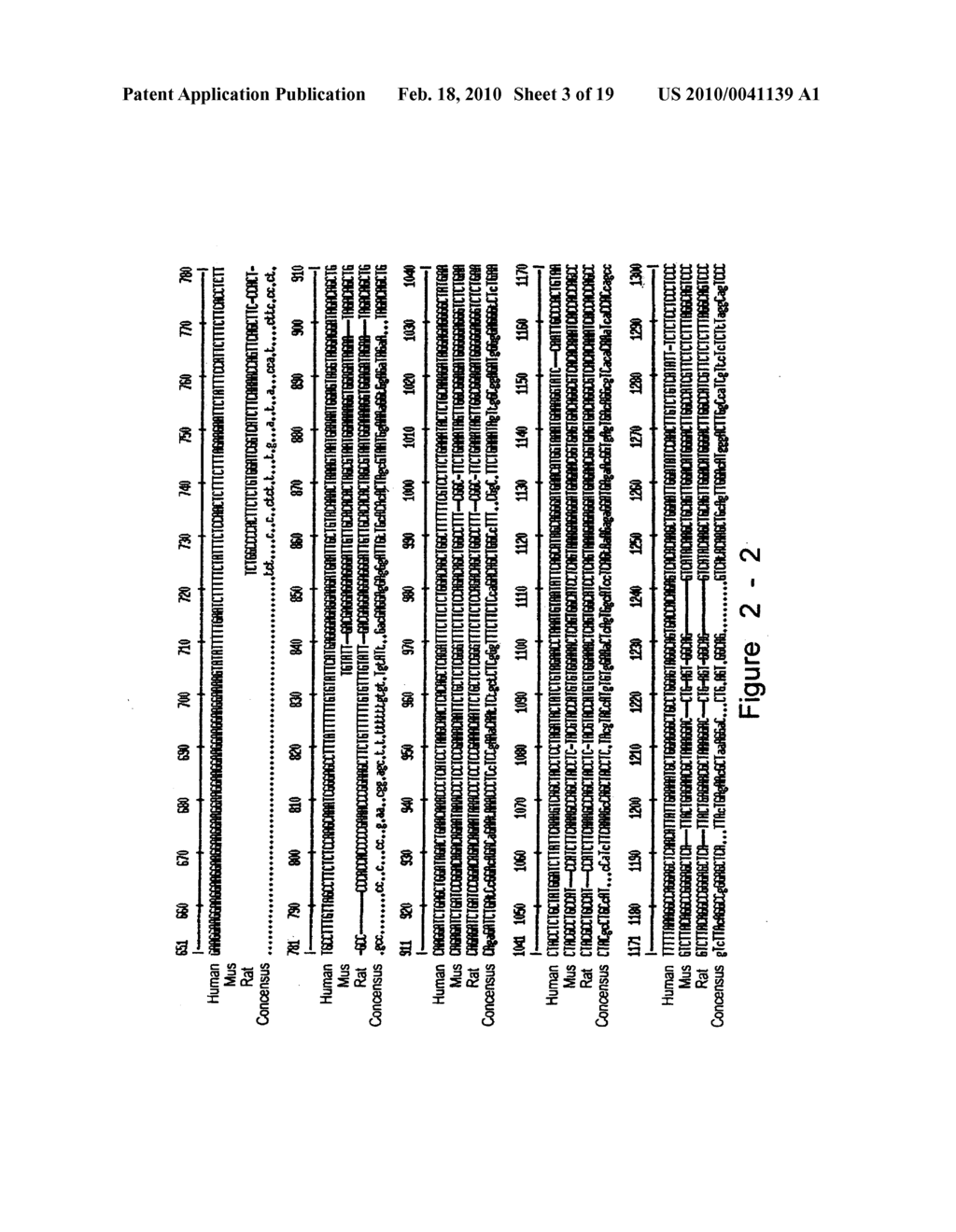 Juvenile hemochromatosis gene (HFE2A), expression products and uses thereof - diagram, schematic, and image 04