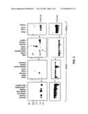 ANTI-APOPTOTIC GENE SCC-S2 AND DIAGNOSTIC AND THERAPEUTIC USES THEREOF diagram and image