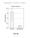 EXPANSION OF DEFINITIVE ENDODERM CELLS diagram and image