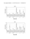 EXPANSION OF DEFINITIVE ENDODERM CELLS diagram and image