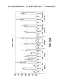 EXPANSION OF DEFINITIVE ENDODERM CELLS diagram and image