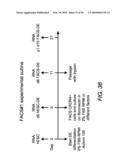 EXPANSION OF DEFINITIVE ENDODERM CELLS diagram and image