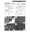 Use of Aplidine for the Treatment of Pancreatic Cancer diagram and image