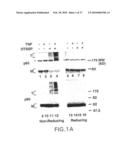 Amelioration of Inflammatory Arthritis By Targeting the Pre-ligand Assembly Domain (Plad) of Tumor Necrosis Factor Receptors diagram and image