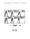 Amelioration of Inflammatory Arthritis By Targeting the Pre-ligand Assembly Domain (Plad) of Tumor Necrosis Factor Receptors diagram and image