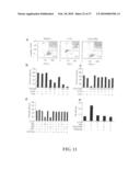 Amelioration of Inflammatory Arthritis By Targeting the Pre-ligand Assembly Domain (Plad) of Tumor Necrosis Factor Receptors diagram and image