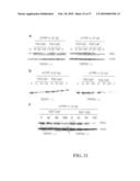 Amelioration of Inflammatory Arthritis By Targeting the Pre-ligand Assembly Domain (Plad) of Tumor Necrosis Factor Receptors diagram and image