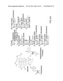 RIBOSWITCHES, METHODS FOR THEIR USE, AND COMPOSITIONS FOR USE WITH RIBOSWITCHES diagram and image