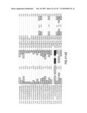 RIBOSWITCHES, METHODS FOR THEIR USE, AND COMPOSITIONS FOR USE WITH RIBOSWITCHES diagram and image