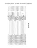 RIBOSWITCHES, METHODS FOR THEIR USE, AND COMPOSITIONS FOR USE WITH RIBOSWITCHES diagram and image