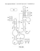 RIBOSWITCHES, METHODS FOR THEIR USE, AND COMPOSITIONS FOR USE WITH RIBOSWITCHES diagram and image