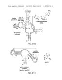 RIBOSWITCHES, METHODS FOR THEIR USE, AND COMPOSITIONS FOR USE WITH RIBOSWITCHES diagram and image