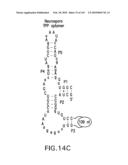 RIBOSWITCHES, METHODS FOR THEIR USE, AND COMPOSITIONS FOR USE WITH RIBOSWITCHES diagram and image