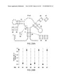 RIBOSWITCHES, METHODS FOR THEIR USE, AND COMPOSITIONS FOR USE WITH RIBOSWITCHES diagram and image