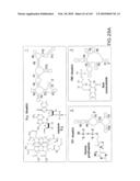 RIBOSWITCHES, METHODS FOR THEIR USE, AND COMPOSITIONS FOR USE WITH RIBOSWITCHES diagram and image