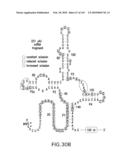 RIBOSWITCHES, METHODS FOR THEIR USE, AND COMPOSITIONS FOR USE WITH RIBOSWITCHES diagram and image