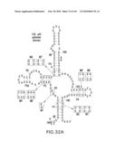 RIBOSWITCHES, METHODS FOR THEIR USE, AND COMPOSITIONS FOR USE WITH RIBOSWITCHES diagram and image