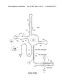 RIBOSWITCHES, METHODS FOR THEIR USE, AND COMPOSITIONS FOR USE WITH RIBOSWITCHES diagram and image