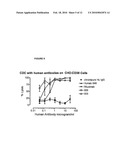 HIGH THROUGHPUT METHODS FOR CHARACTERIZATION OF ANTIBODIES diagram and image