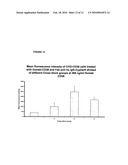 HIGH THROUGHPUT METHODS FOR CHARACTERIZATION OF ANTIBODIES diagram and image