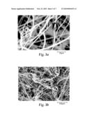 HIGHLY CHARGED, CHARGE STABLE NANOFIBER WEB diagram and image
