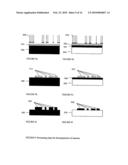 REPLICATION AND TRANSFER OF MICROSTRUCTURES AND NANOSTRUCTURES diagram and image