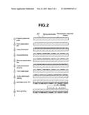 Piezoelectric component and manufacturing method thereof diagram and image