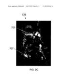 SYSTEMS AND METHOD FOR VISUALIZATION OF FLUIDS diagram and image